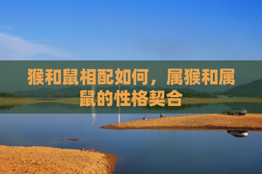 猴和鼠相配如何，属猴和属鼠的性格契合