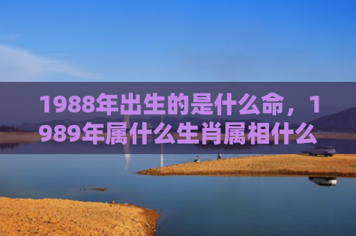 1988年出生的是什么命，1989年属什么生肖属相什么命