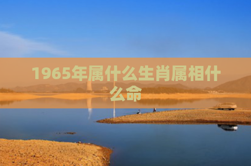 1965年属什么生肖属相什么命
