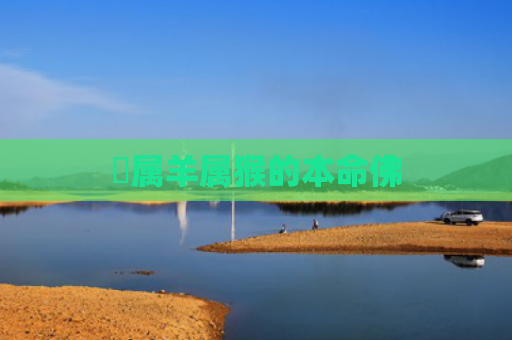 ​属羊属猴的本命佛