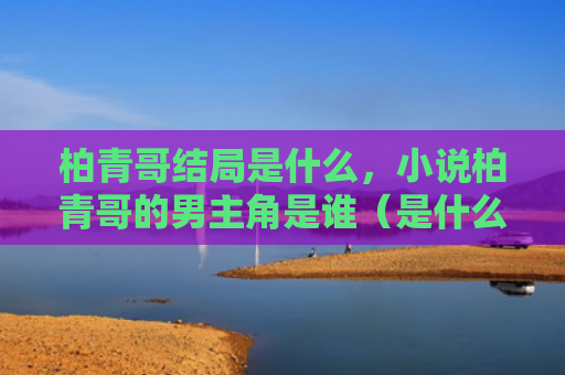 柏青哥结局是什么，小说柏青哥的男主角是谁（是什么是谁男主角）
