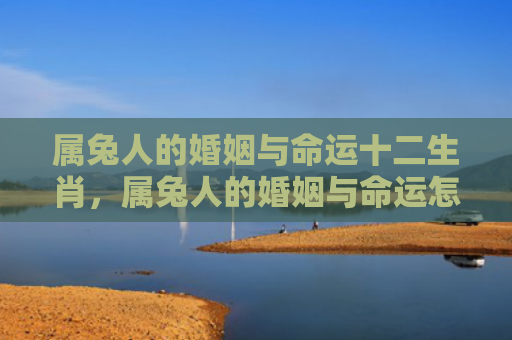 属兔人的婚姻与命运十二生肖，属兔人的婚姻与命运怎么样