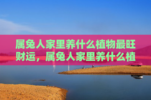 属兔人家里养什么植物最旺财运，属兔人家里养什么植物好吉利