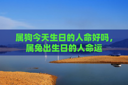 属狗今天生日的人命好吗，属兔出生日的人命运
