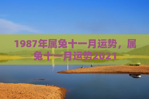 1987年属兔十一月运势，属兔十一月运势2021
