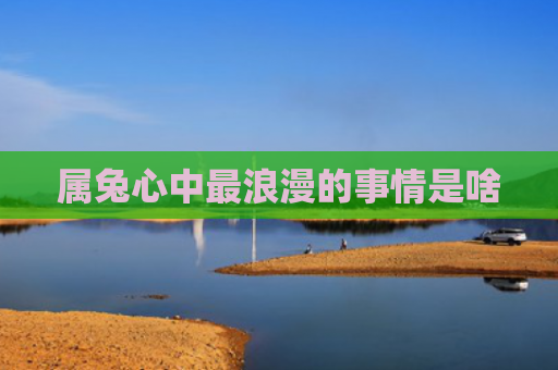 属兔心中最浪漫的事情是啥