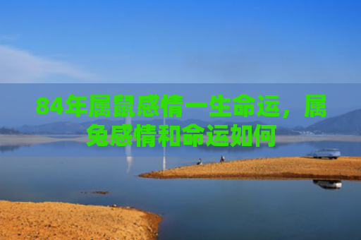 84年属鼠感情一生命运，属兔感情和命运如何