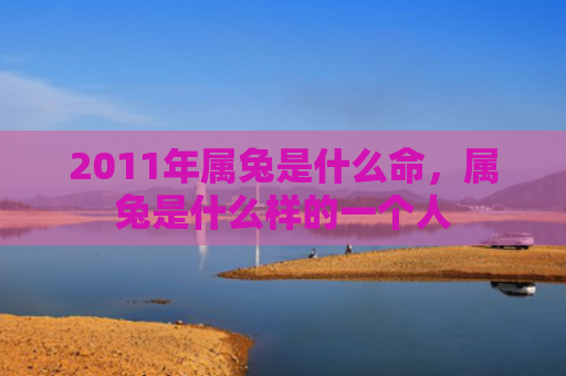 2011年属兔是什么命，属兔是什么样的一个人