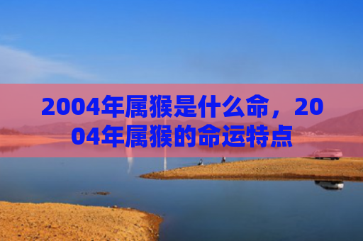 2004年属猴是什么命，2004年属猴的命运特点