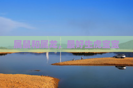 属鼠和属龙，最好生虎宝宝