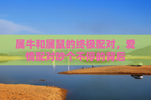 属牛和属鼠的终极配对，爱情配对吵个不停的背后