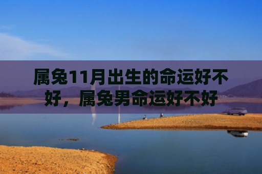 属兔11月出生的命运好不好，属兔男命运好不好