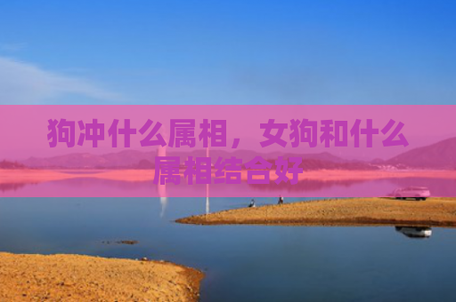 狗冲什么属相，女狗和什么属相结合好