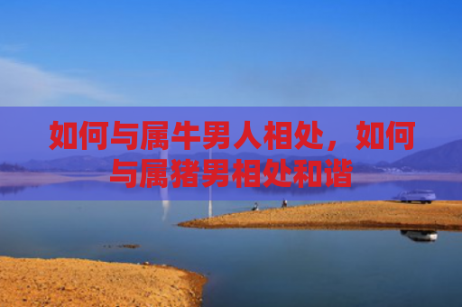 如何与属牛男人相处，如何与属猪男相处和谐