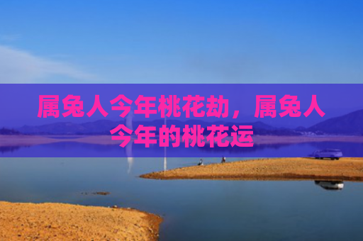 属兔人今年桃花劫，属兔人今年的桃花运