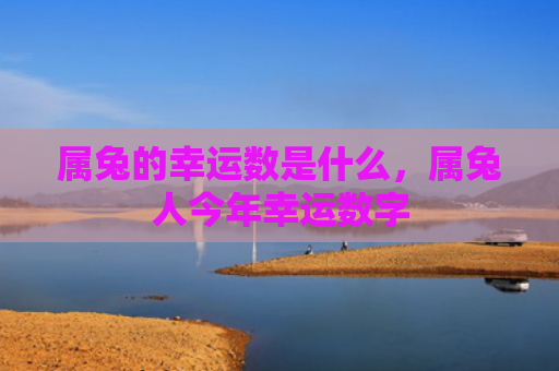 属兔的幸运数是什么，属兔人今年幸运数字