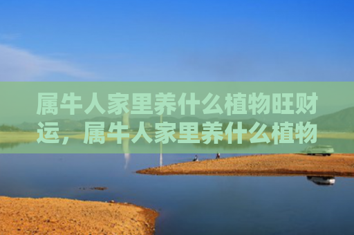属牛人家里养什么植物旺财运，属牛人家里养什么植物好旺财
