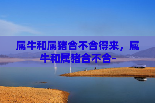 属牛和属猪合不合得来，属牛和属猪合不合-