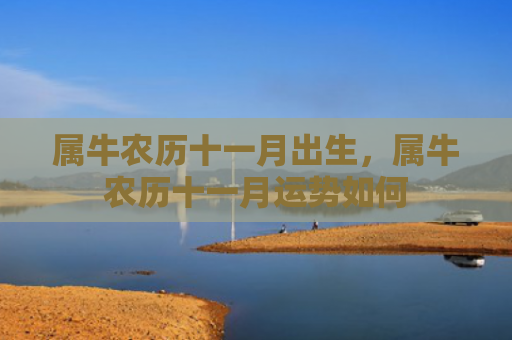 属牛农历十一月出生，属牛农历十一月运势如何