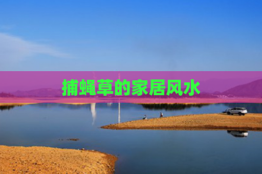 捕蝇草的家居风水