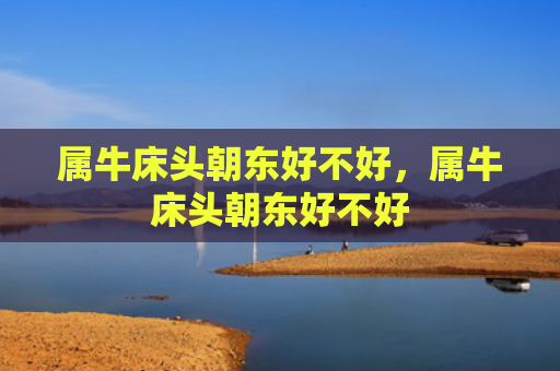 属牛床头朝东好不好，属牛床头朝东好不好