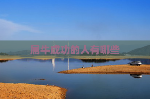 属牛成功的人有哪些