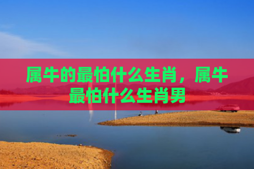 属牛的最怕什么生肖，属牛最怕什么生肖男