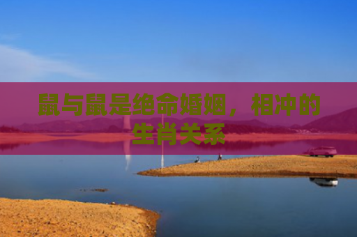 鼠与鼠是绝命婚姻，相冲的生肖关系