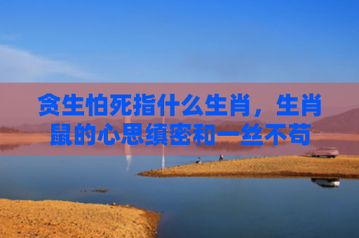 贪生怕死指什么生肖，生肖鼠的心思缜密和一丝不苟