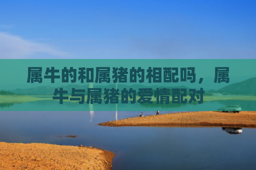 属牛的和属猪的相配吗，属牛与属猪的爱情配对