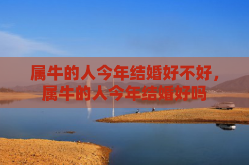属牛的人今年结婚好不好，属牛的人今年结婚好吗