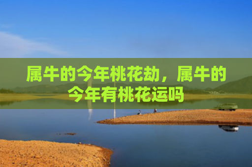 属牛的今年桃花劫，属牛的今年有桃花运吗