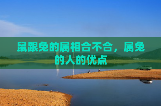 鼠跟兔的属相合不合，属兔的人的优点