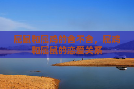 属鼠和属鸡的合不合，属鸡和属鼠的恋爱关系