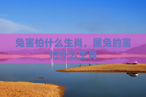 兔害怕什么生肖，属兔的害怕什么生肖