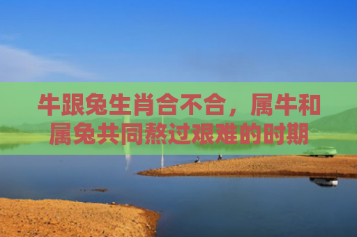 牛跟兔生肖合不合，属牛和属兔共同熬过艰难的时期