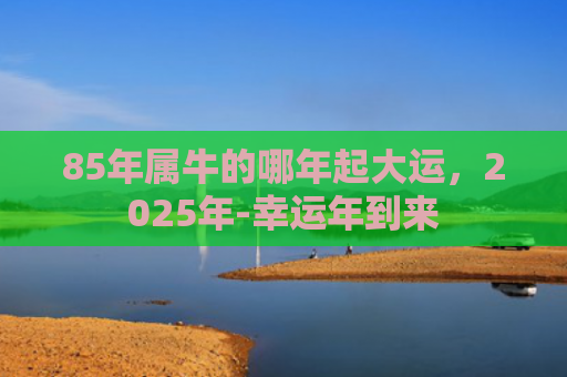 85年属牛的哪年起大运，2025年-幸运年到来