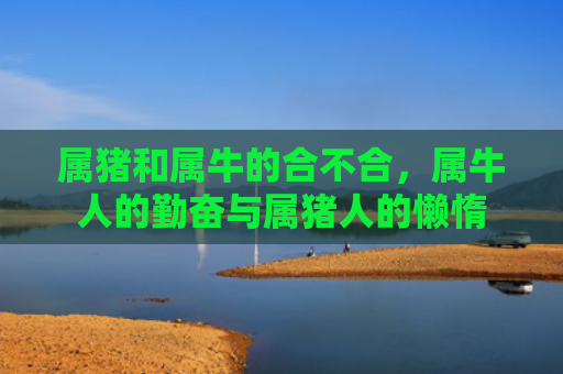 属猪和属牛的合不合，属牛人的勤奋与属猪人的懒惰