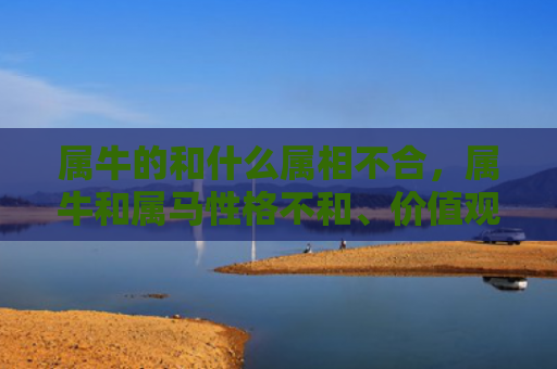 属牛的和什么属相不合，属牛和属马性格不和、价值观不同