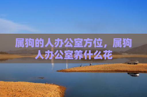 属狗的人办公室方位，属狗人办公室养什么花