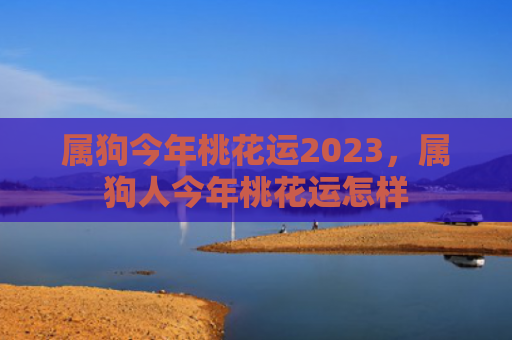 属狗今年桃花运2023，属狗人今年桃花运怎样