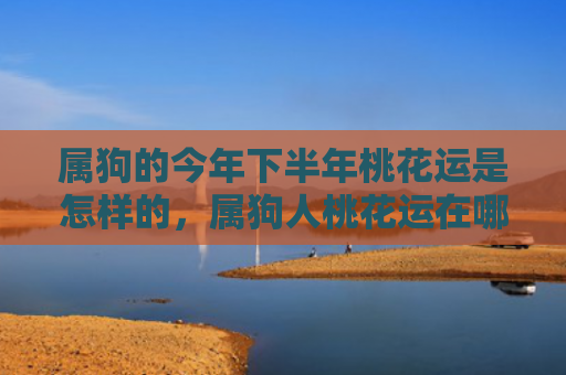 属狗的今年下半年桃花运是怎样的，属狗人桃花运在哪年
