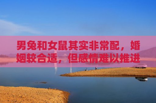 男兔和女鼠其实非常配，婚姻较合适，但感情难以推进