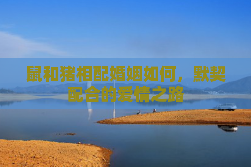 鼠和猪相配婚姻如何，默契配合的爱情之路