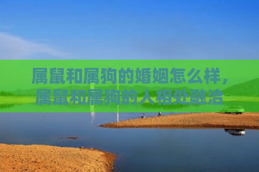 属鼠和属狗的婚姻怎么样，属鼠和属狗的人相处融洽