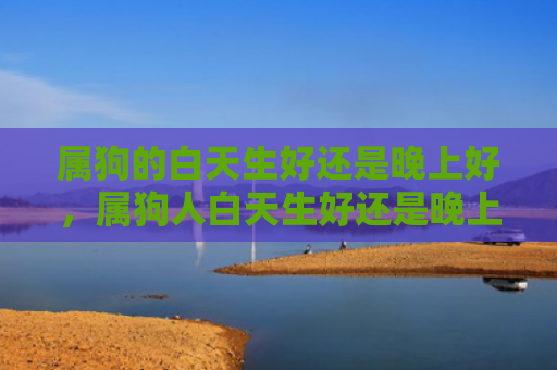 属狗的白天生好还是晚上好，属狗人白天生好还是晚上生好