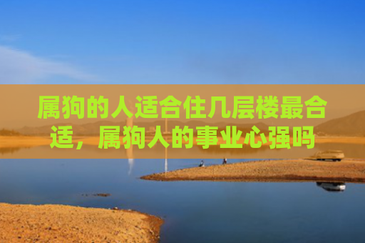 属狗的人适合住几层楼最合适，属狗人的事业心强吗