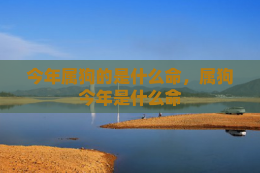 今年属狗的是什么命，属狗今年是什么命
