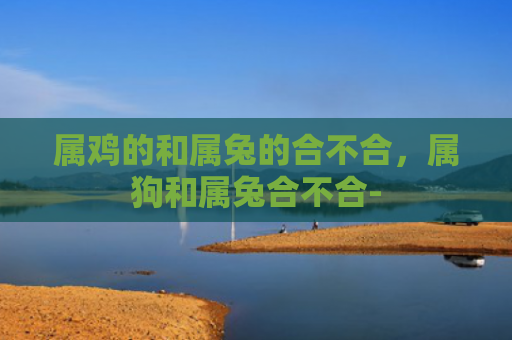 属鸡的和属兔的合不合，属狗和属兔合不合-