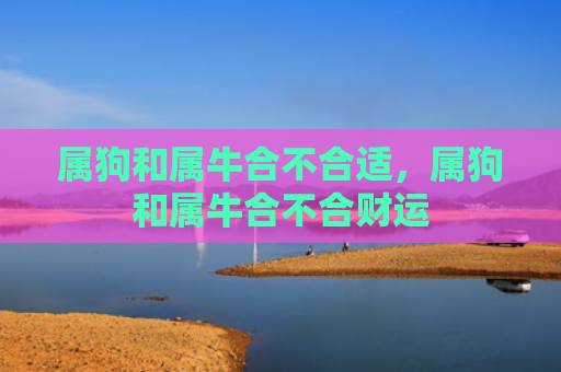 属狗和属牛合不合适，属狗和属牛合不合财运